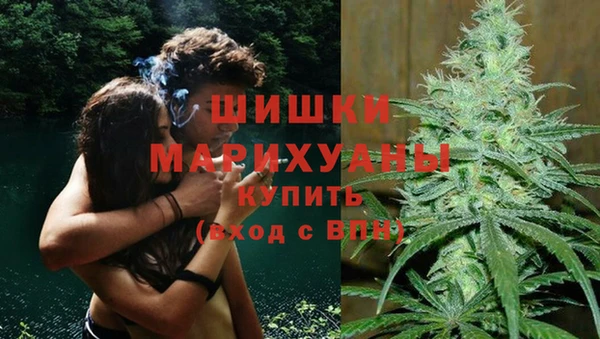 гашик Каменногорск