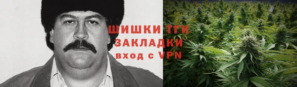 гашик Каменногорск