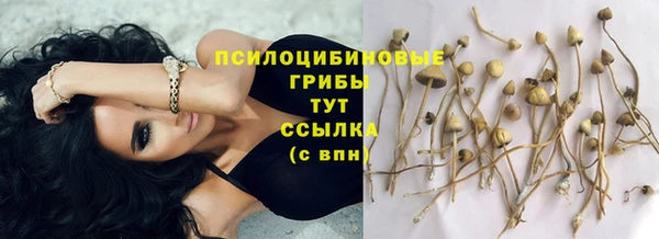 гашик Каменногорск