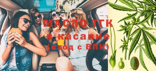 гашик Каменногорск